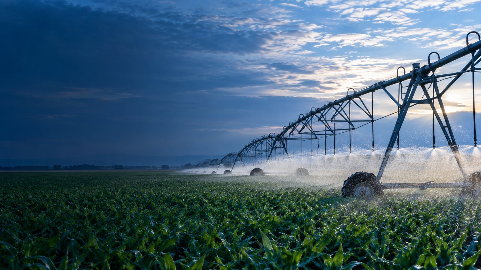Agricultural research
