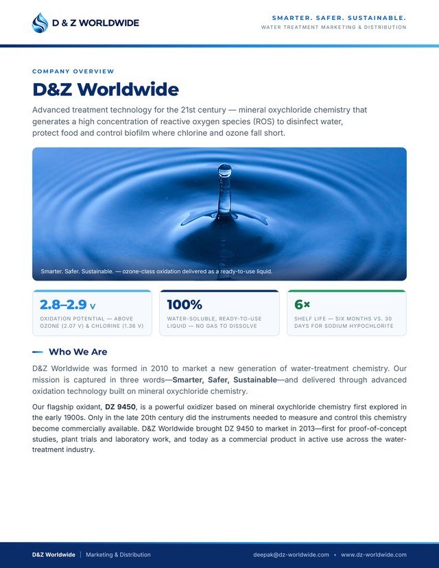 Cover page of the D&Z Worldwide company overview